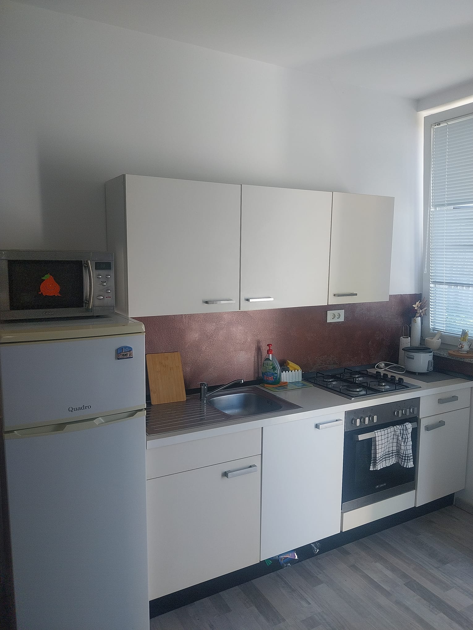 Kuhinja Apartmana 1